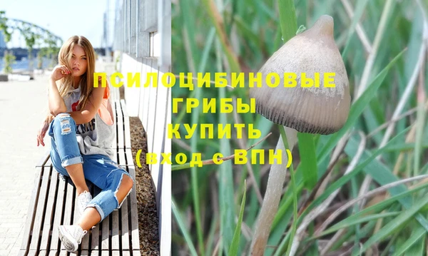 МДПВ Верхнеуральск