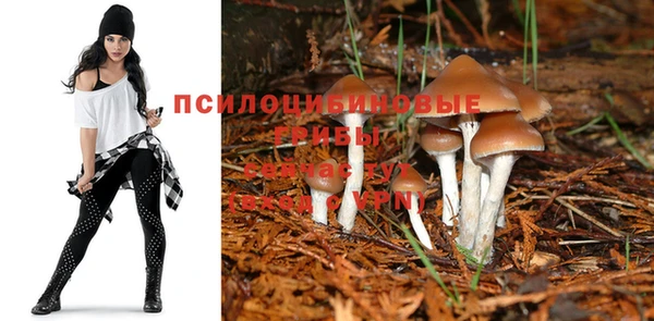 бошки Бородино
