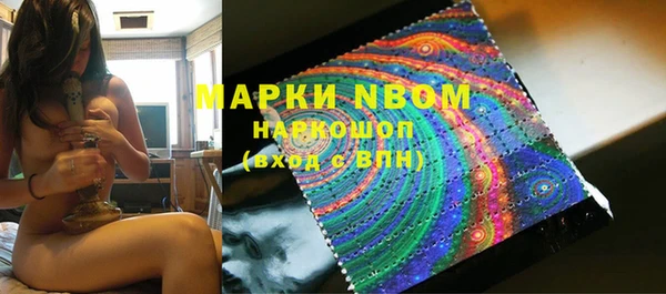 бошки Бородино